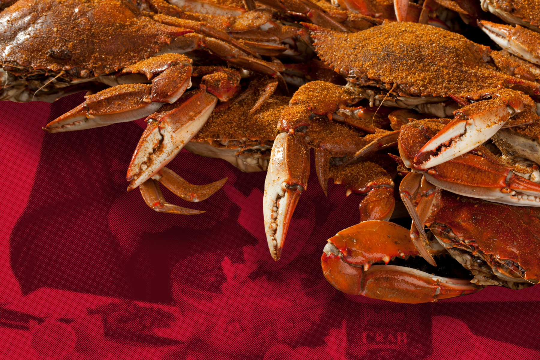 Free Seafood for a Year | Phillips Seafood Restaurants